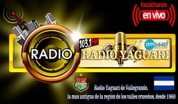 Logo de Radio Yaguari 103.1 FM