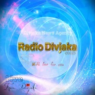 Logo de Divjaka Radio