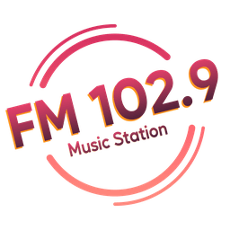 Logo de FM 102.9 Music Station