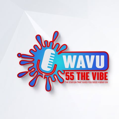 Logo de WAVU 55 The Vibe