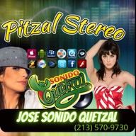 Logo de Pitzal Stereo