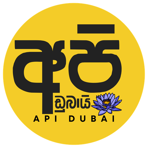 Logo de Api Dubai Radio