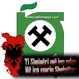 Logo de Radio Trepqa