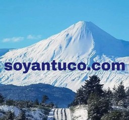 Logo de La Ruta Q45