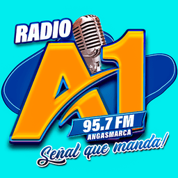 Logo de Radio A1 95.7 FM