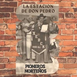 Logo de Don Pedro MX