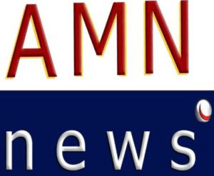 Logo de AMN News