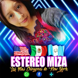 Logo de Stereo Miza