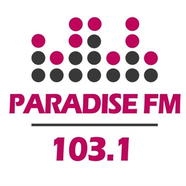 Logo de Paradise 80’s & 90’s