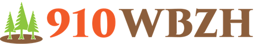 Logo de WBZH The Buzz 910 AM