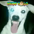 Logo de The Acid Station Of The Dogs