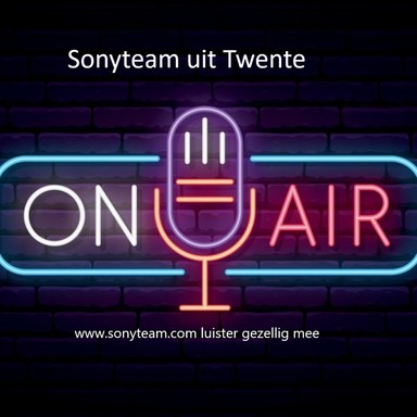 Logo de sonyteam