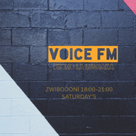 Logo de VOICE FM 105