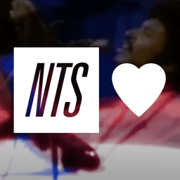 Logo de NTS Infinite Mixtapes Feelings
