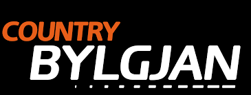 Logo de Vísir Country Bylgjan