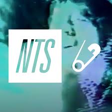 Logo de NTS Infinite Mixtapes The Tube