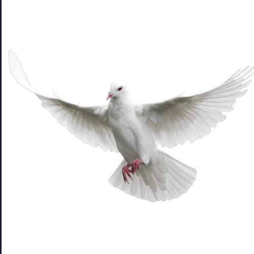 Logo de Vida en Cristo