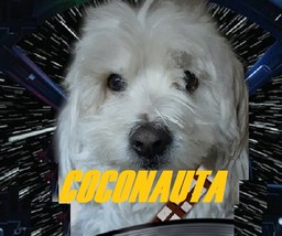 Logo de Coconauta Radio