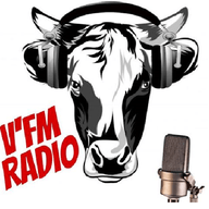 Logo de V'FM RADIO normandie