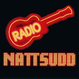 Logo de Radio Nattsudd