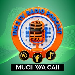 Logo de The 2 TV Radio Podcast