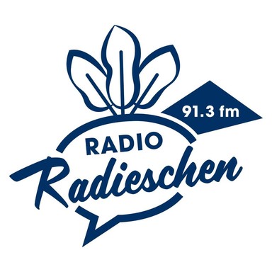 Logo de Radio Radieschen 91.3 FM