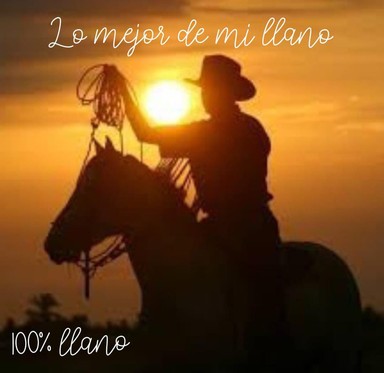Logo de Lo Mejor de Mi Llano