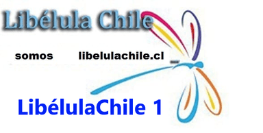Logo de Libélula Chile 1