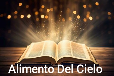 Logo de Alimento Del Cielo