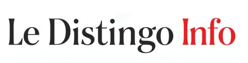 Logo de Le Distingo Info
