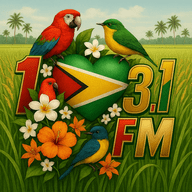 Logo de 103.1 Zone FM