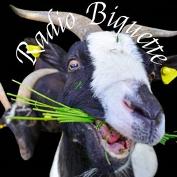 Logo de Radio Biquette