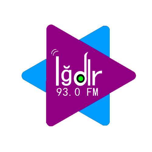 Logo de IGDIR FM 93.0