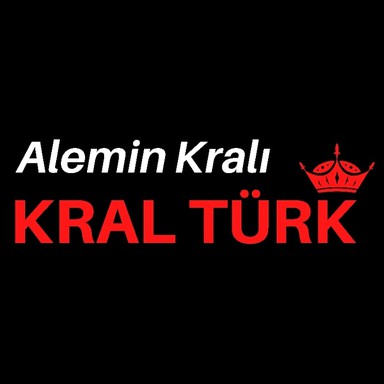 Logo de KralTürk